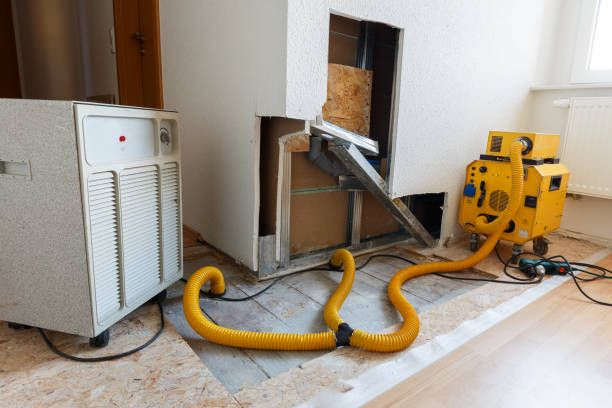 Best Indoor Air Quality Assessment  in Collinsville, CT
