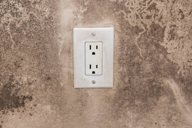 Best Mold Odor Removal Services  in Collinsville, CT